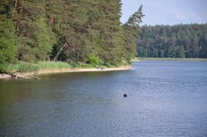 Zdjęcie Jeziora Głębokiego wykonane w dniu 17_06_2020.jpg