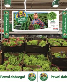 Sałata_Pewni Dobrego.JPG