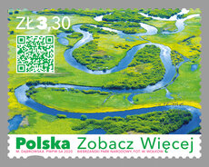 POLSKA_ZOBACZ_WIECEJ_2020_ZNACZEK_BIEBRZA.jpg