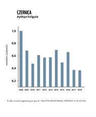 spadek populacji czernicy.jpg