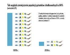 LPR_WYKRES_info.jpg