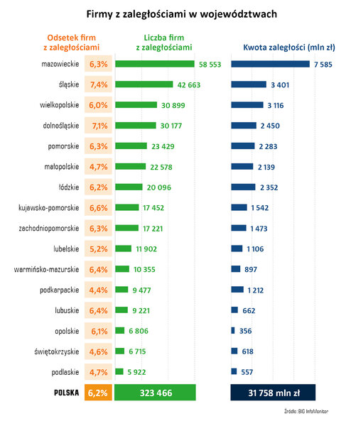 Grafika_Firmy z zaległościami w województwach