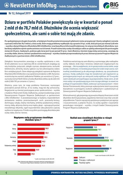 Newsletter InfoDług listopad 2019.pdf