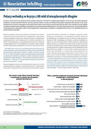 Raport InfoDług_Polacy wchodzą w kryzys z 80 mld zł niespłaconych długów.pdf