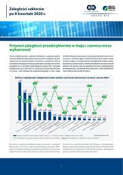 Zaleglości sektorów po 2 kwartale 2020.pdf