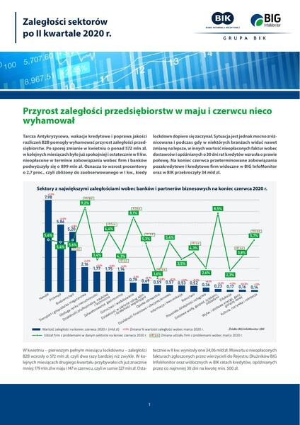 Zaleglości sektorów po 2 kwartale 2020.pdf