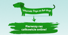 Wspomóż Doga_streaming_1200x628.png