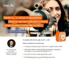 ING_ZAPROSZENIE_webinar.png