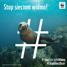 WEEK 1 SHOW PPA SIGN PETITION_SEA LION FB_PL_fj (2).jpg