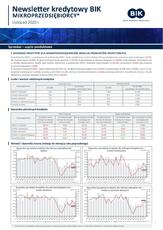 BIK_NL_Mikrofirmy_sprzedaż X 2020_30_11_2020.pdf