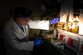 Fot. Dawid Linkowski