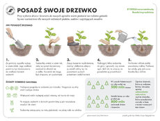 Poczta Polska i Lasy Państwowe Jak posadzić drzewko.jpg