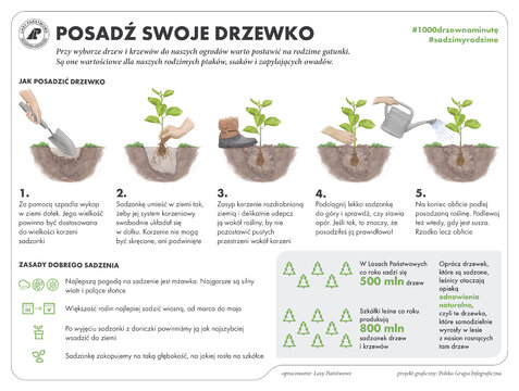 Poczta Polska i Lasy Państwowe Jak posadzić drzewko.jpg 