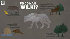 po co nam wilki.png