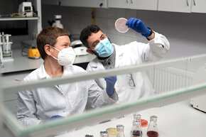 Na zdj. prof. Marta Wanarska i prof. Hubert Cieśliński z Katedry Biotechnologii Molekularnej i Mikrobiologii Wydziału Chemicznego PG. Fot. Dawid Linkowski / Politechnika Gdańska