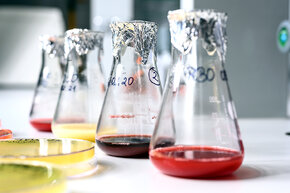 Z10_5658 900X600.jpg