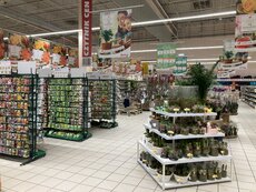 Auchan_ogórd_fot 3.jpg
