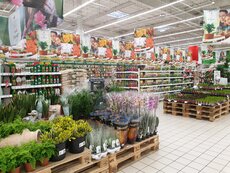 Auchan_ogród fot 5.jpg