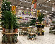 Auchan_ogród_fot 4.jpg