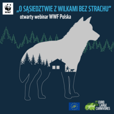 WWF_Polska_wilk.png