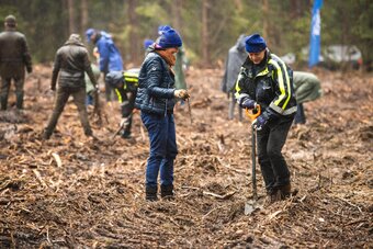 „Sadzimy kolejne pokolenie lasu” - akcja wolontariuszy Grupy Enea w lasach Nadleśnictwa Staszów (2)