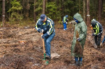 „Sadzimy kolejne pokolenie lasu” - akcja wolontariuszy Grupy Enea w lasach Nadleśnictwa Staszów (3)