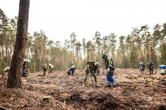 „Sadzimy kolejne pokolenie lasu” - akcja wolontariuszy Grupy Enea w lasach Nadleśnictwa Staszów (5)