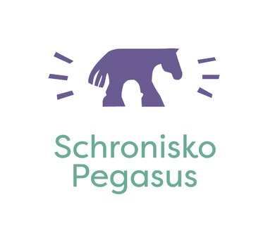 Pegasus logo