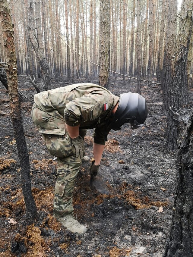 Lasy pod kontrolą