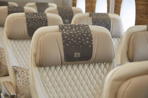 emiratesa380premiumeconomy.jpg