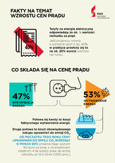 Fakty_ceny prądu.jpg
