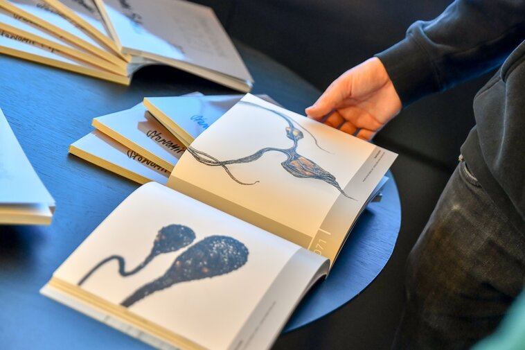 Zdjęcie. Otwarte strony katalogu Trend Book