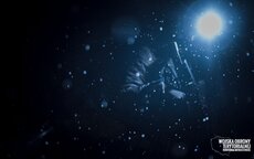 #Silne Wsparcie 3 msc (5).jpg