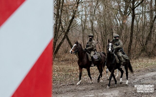 Patrole konne na straży bezpiecznej granicy