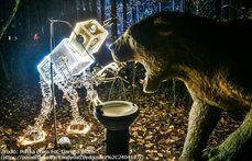 Świąteczne iluminacje w Bydgoszczy.jpg