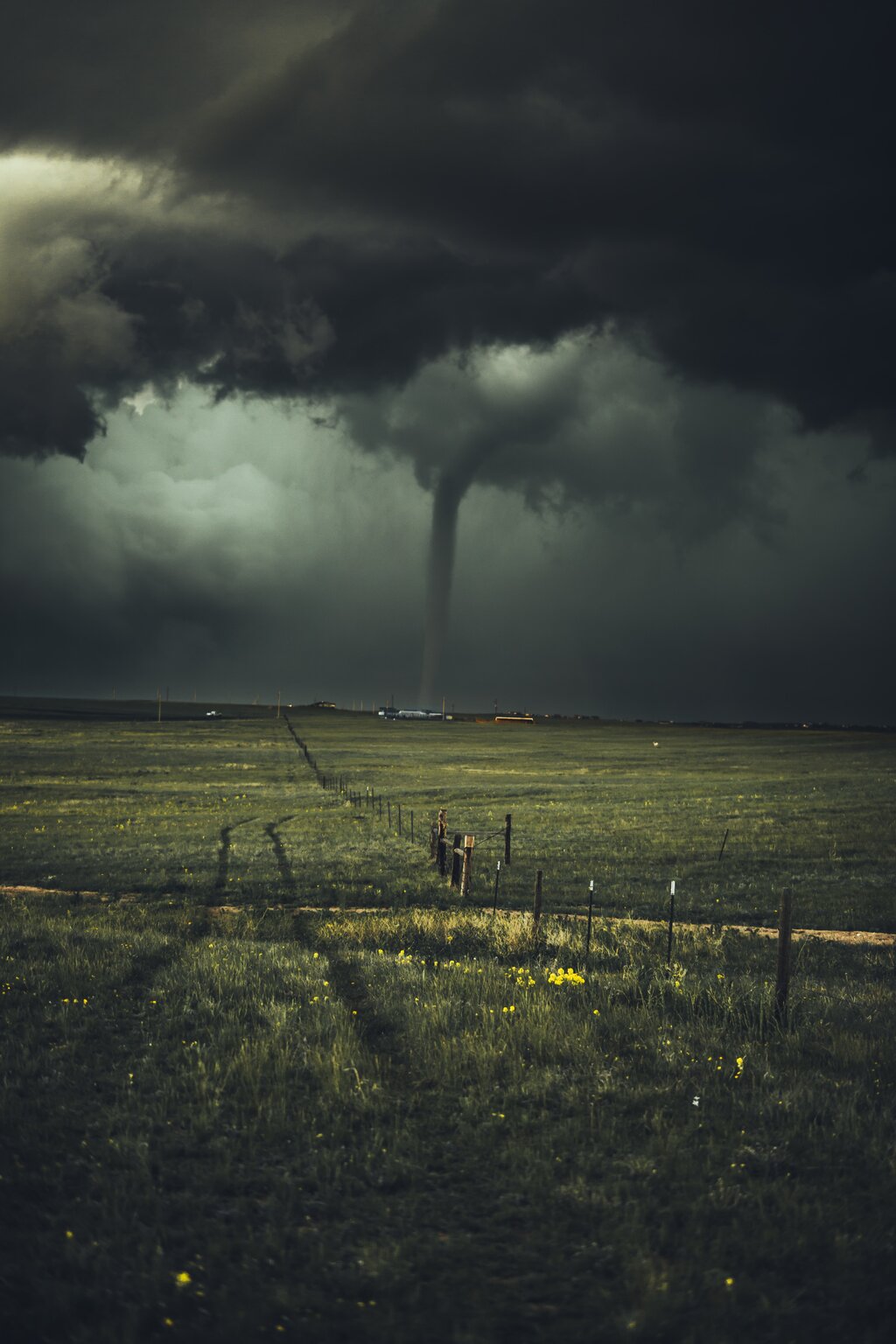 burza zrodlo - unsplash com