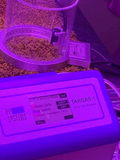 measuring photosynthesis by IRGA from PP Systems Co_ USA.jpg