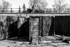 A_Hernik (3).jpg