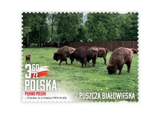 Puszcza Białowieska.jpg