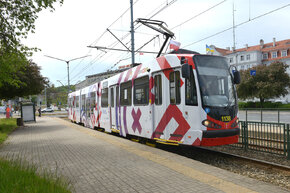 Fot. Krzysztof Krzempek / Politechnika Gdańska