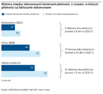 EPR 2022_luka płatnicza