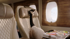 emirates-goose-12548-30-master-2022-08-04-fr511.jpg