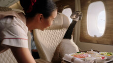 emirates-goose-12548-30-master-2022-08-04-fr439.jpg