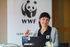 WWF- K_ Makurat - Juchowo 9.jpg