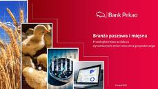 Branża paszowa i miesna_Raport Banku Pekao_listopad 2022.pdf