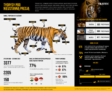 Standalone-Infographic-Polish-2-01 (1).png