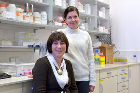 Fot. Krzysztof Krzempek/PG