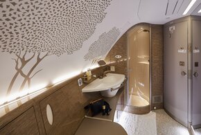 a380refreshedshowerspadesigntouches-1211.jpg