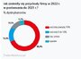 Grafika pokazująca zmianę przychodów dystrybutorów części w 2022 roku
    