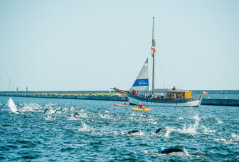 Enea napędza polski triathlon (1)